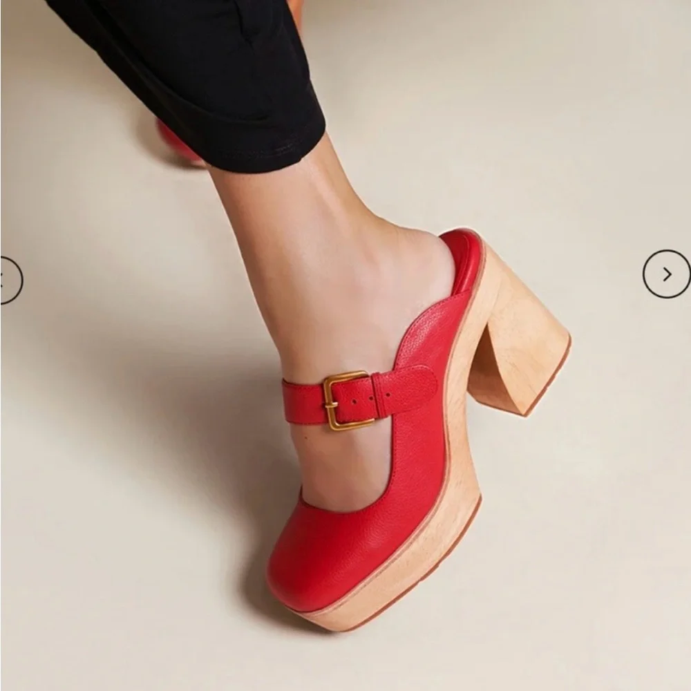 Charlotte Stone “Charis” Clog Mules - Picture 1 of 11